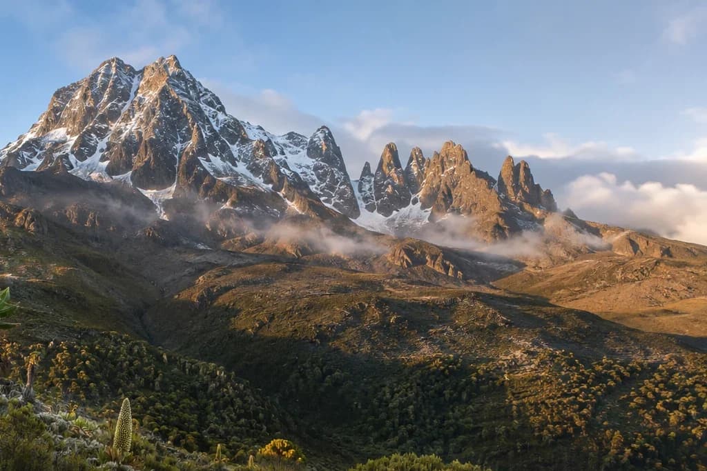 Birding and botany planning artwork for Mount Kenya National Park