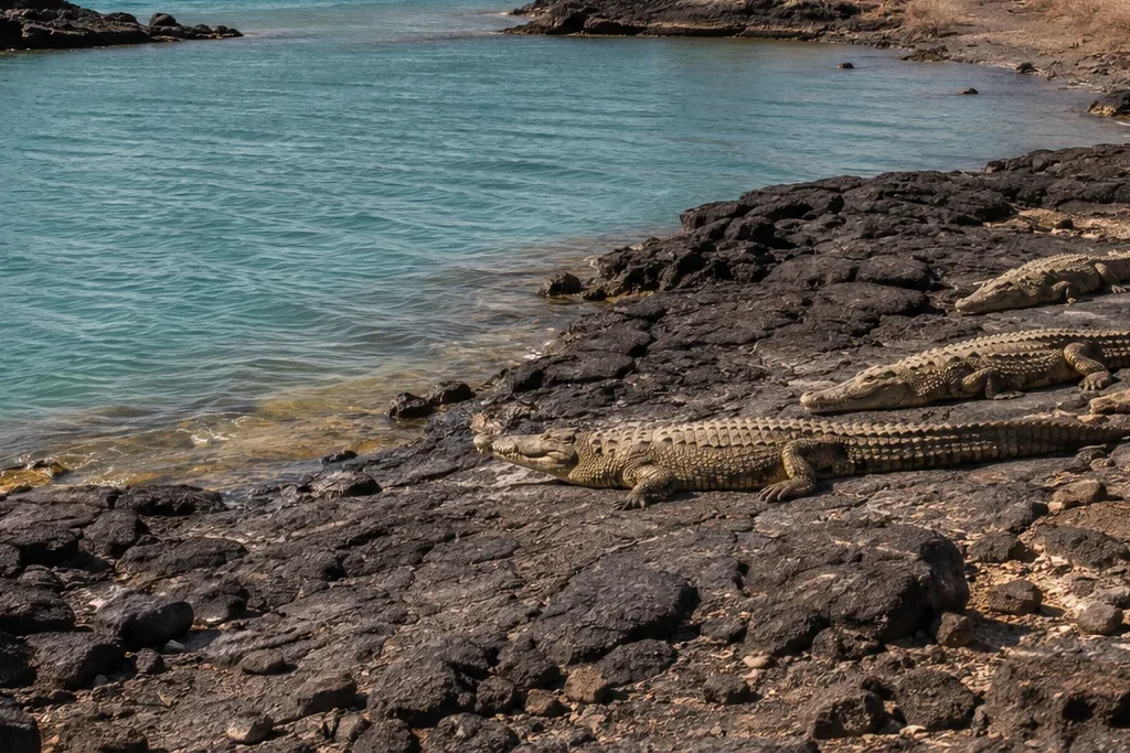 Landscape photography planning artwork for Sibiloi National Park